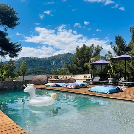 Villa Holistika : Bed And Breakfast / Pool / Air Conditioning/ Mont Faron Тулон Экстерьер фото